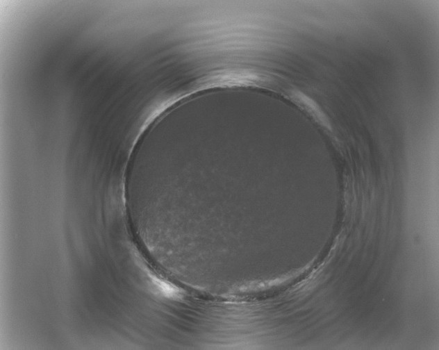 X0000066971226200603311440