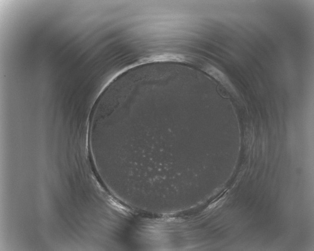 X0000066971228200603311440