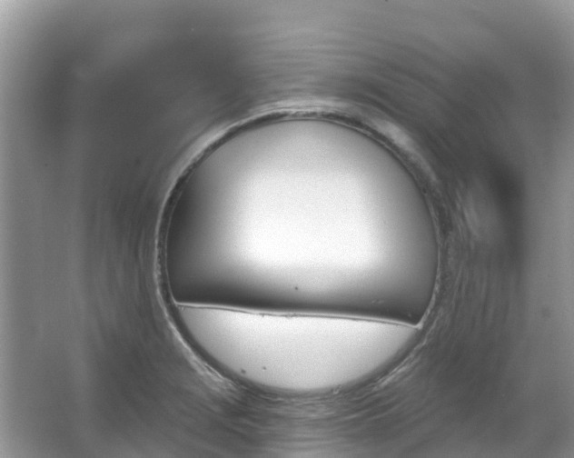 X0000066971229200603311441