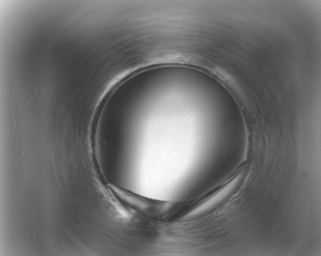 X0000066971230200603311441