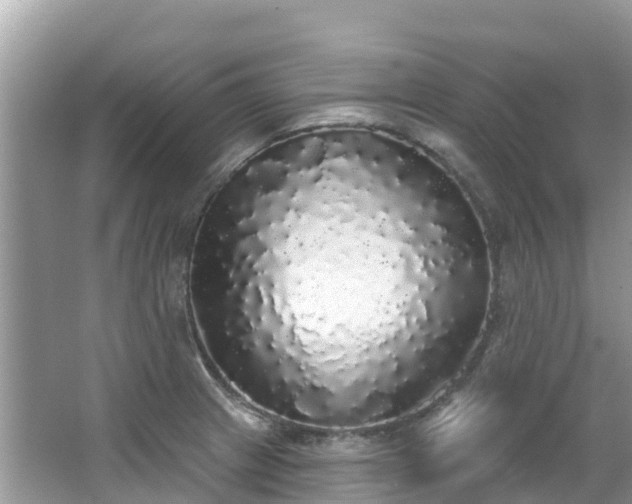 X0000066971233200603311441