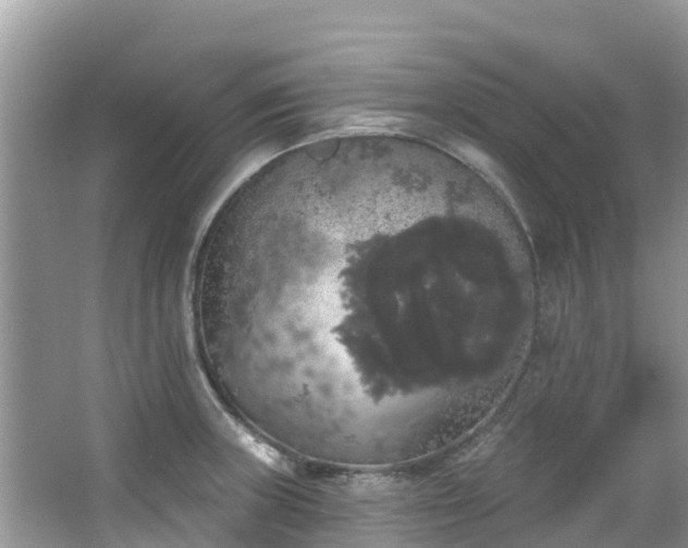 X0000066971235200603311441