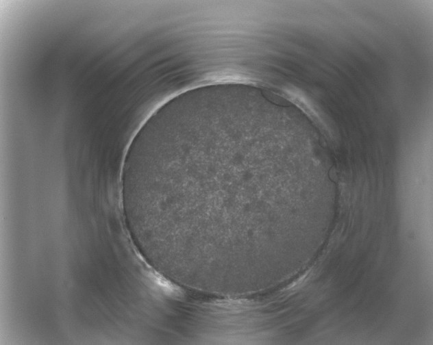 X0000066971236200603311441