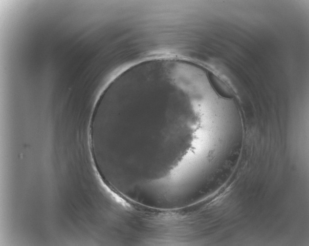 X0000066971239200603311441