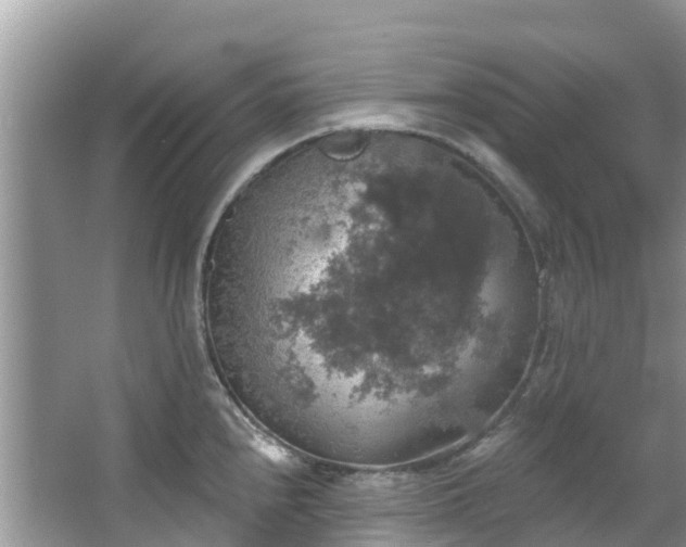 X0000066971240200603311441