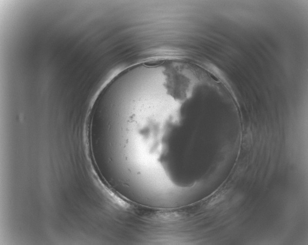 X0000066971243200603311441