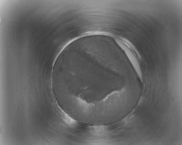 X0000066971244200603311441