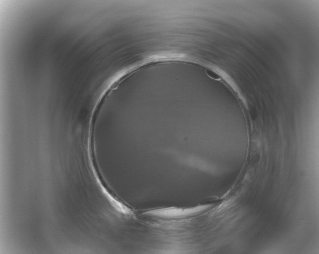 X0000066971245200603311441