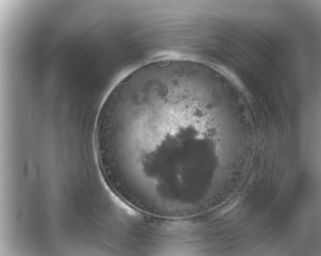 X0000066971247200603311441