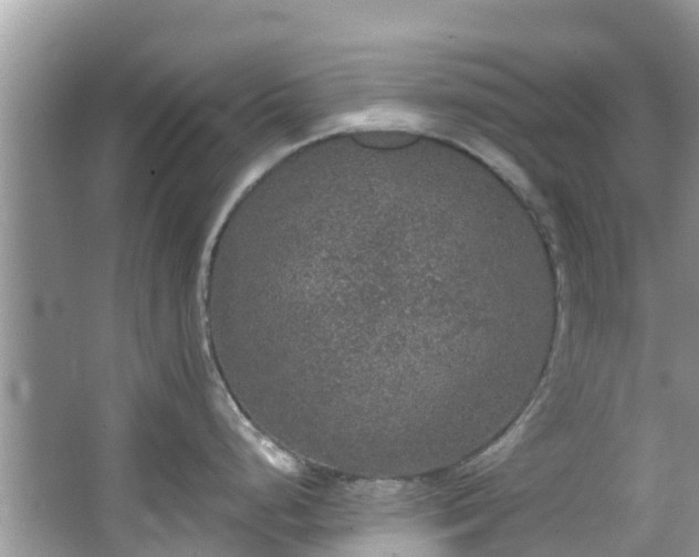 X0000066971248200603311441