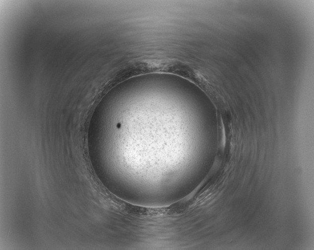 X0000066971249200603311440