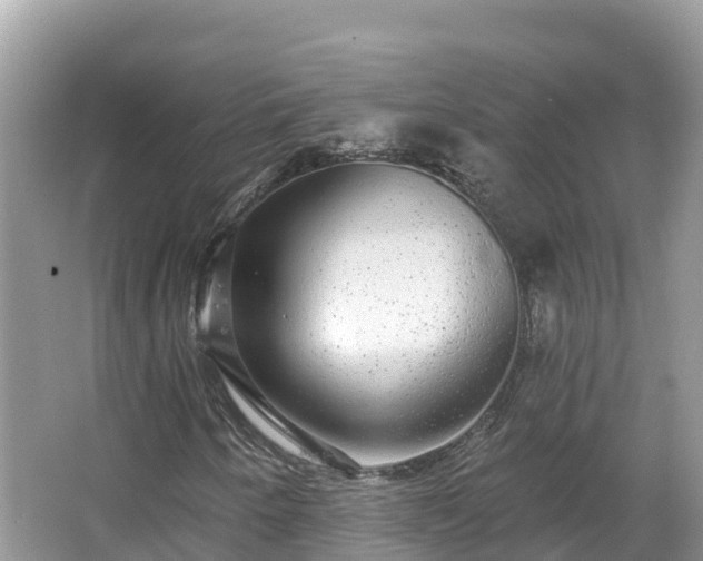 X0000066971250200603311440