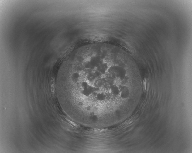 X0000066971251200603311440