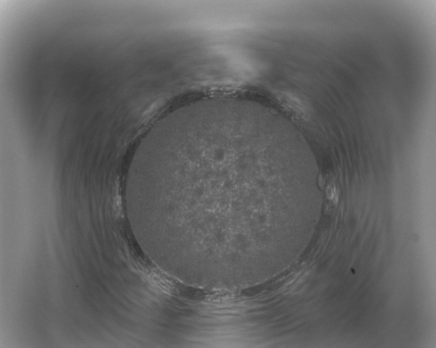 X0000066971252200603311440