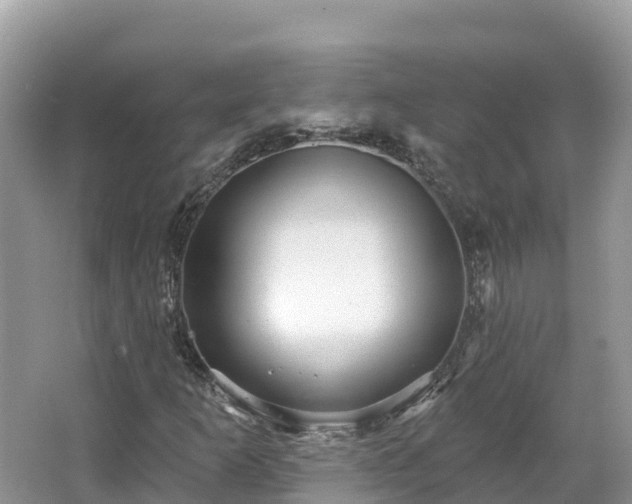 X0000066971253200603311440