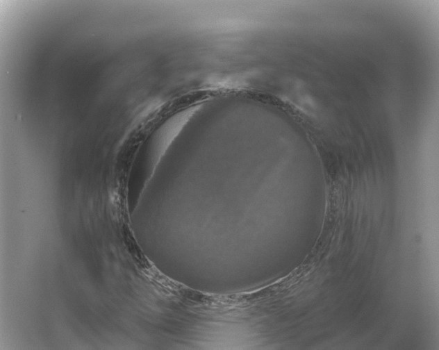 X0000066971254200603311440