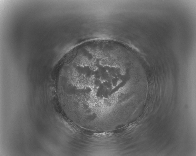 X0000066971255200603311440