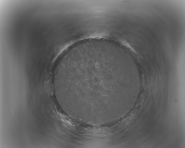 X0000066971256200603311440