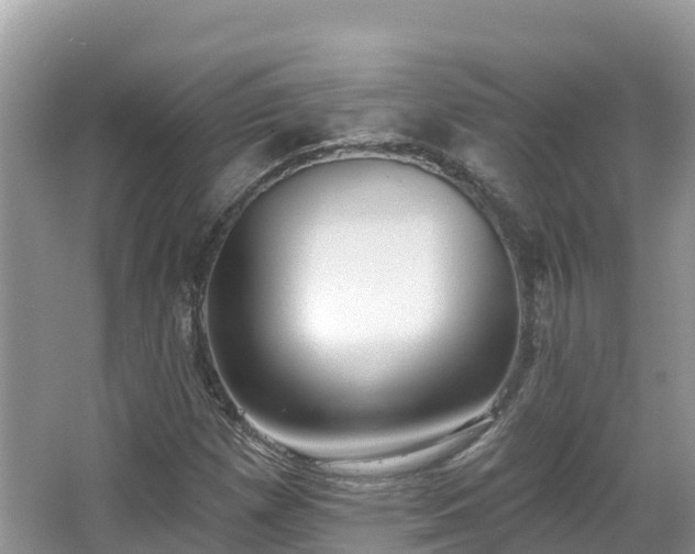 X0000066971257200603311440