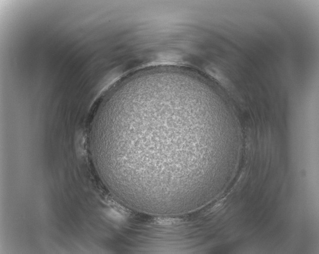 X0000066971258200603311440