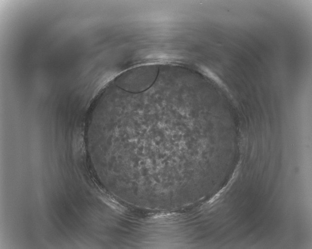 X0000066971259200603311440