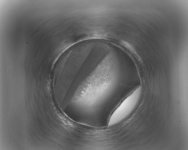 X0000066971260200603311440