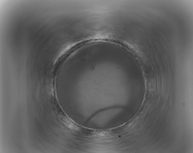 X0000066971262200603311440