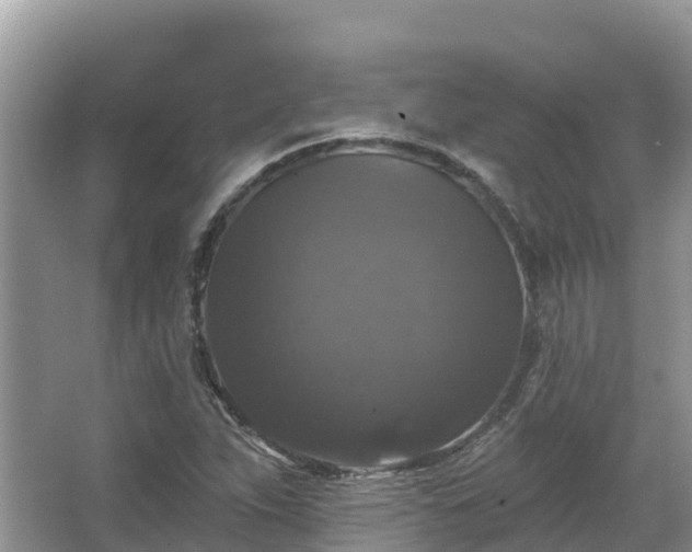 X0000066971263200603311440