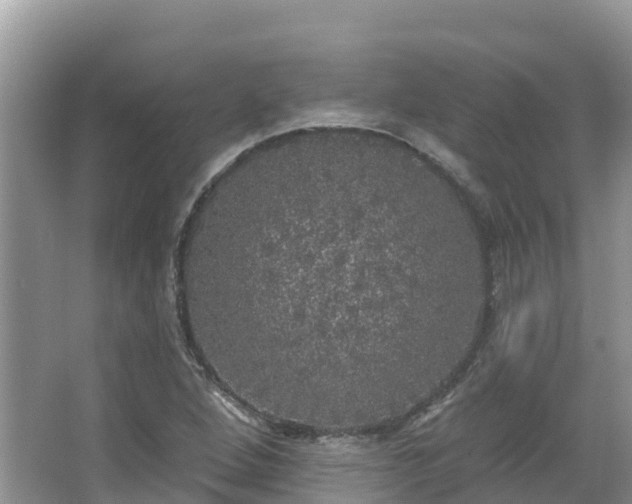 X0000066971264200603311440