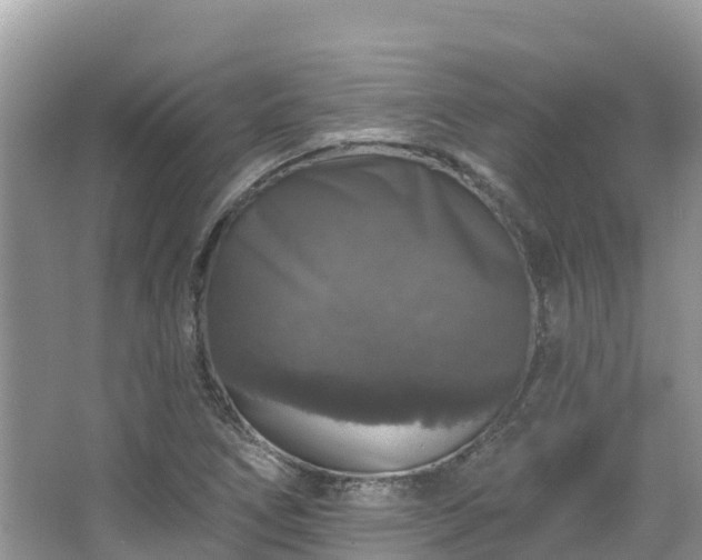 X0000066971266200603311440