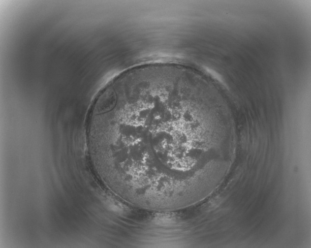 X0000066971267200603311440