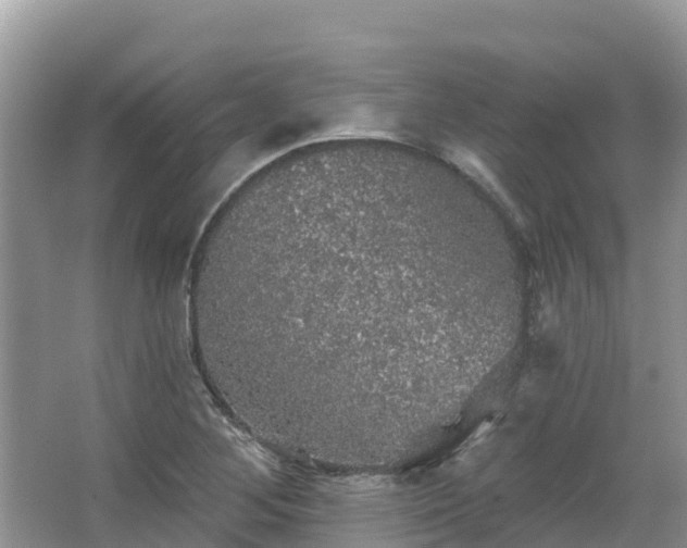 X0000066971268200603311440