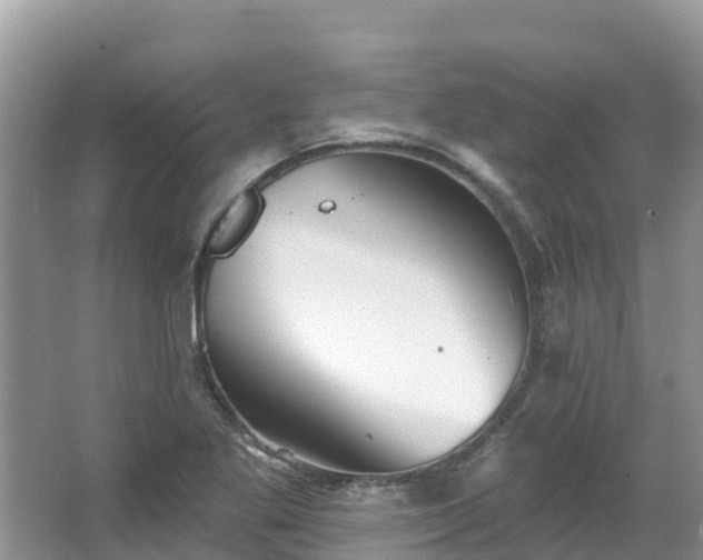 X0000066971269200603311440