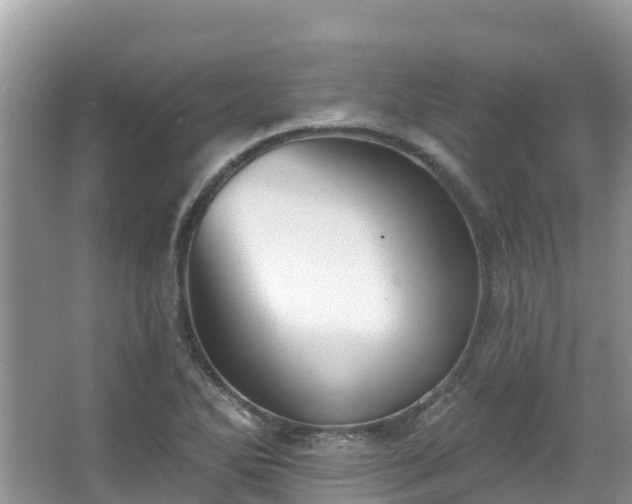 X0000066971270200603311440