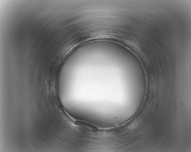 X0000066971273200603311440