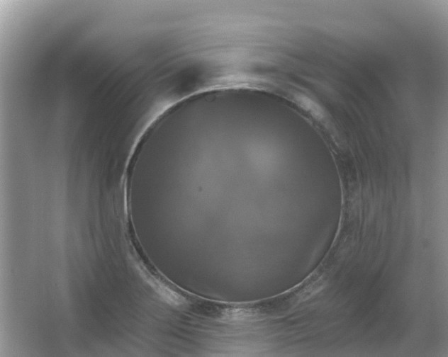 X0000066971275200603311440