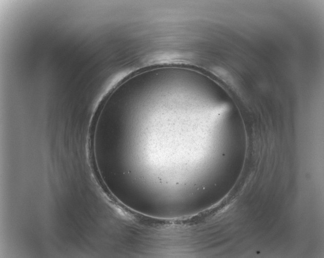 X0000066971277200603311440