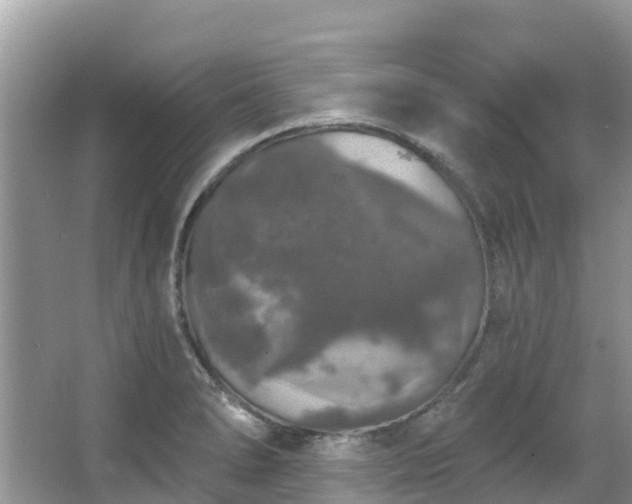 X0000066971278200603311440