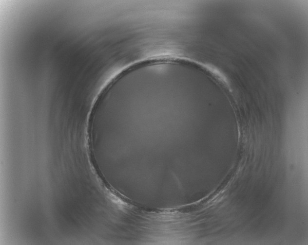 X0000066971279200603311440