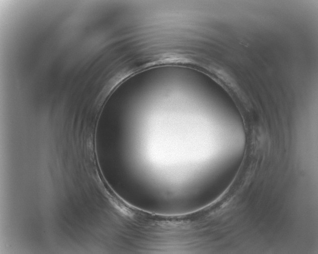 X0000066971281200603311439