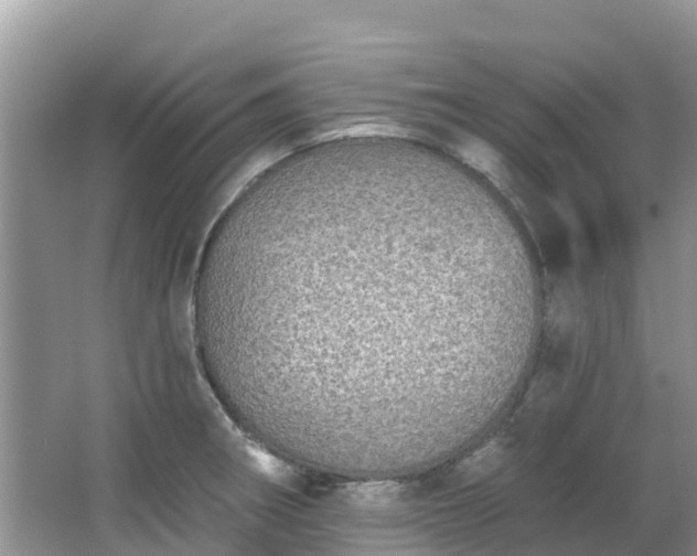 X0000066971282200603311439