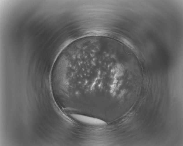 X0000066971283200603311439