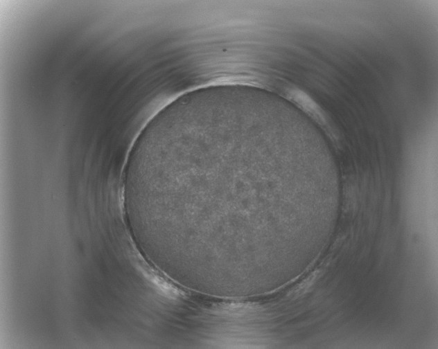 X0000066971284200603311439