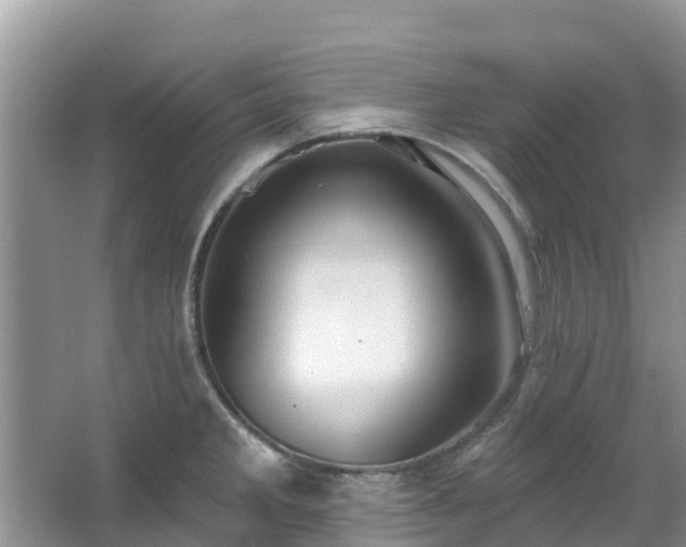 X0000066971285200603311439