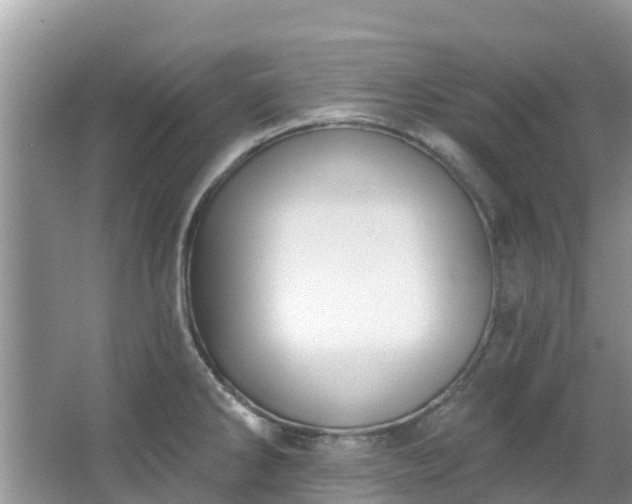 X0000066971286200603311439