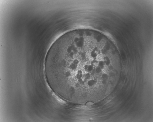 X0000066971287200603311439