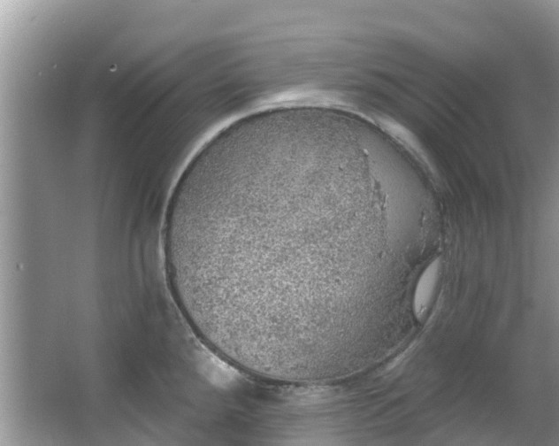 X0000066971288200603311439