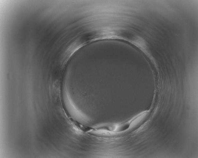 X0000066971289200603311439