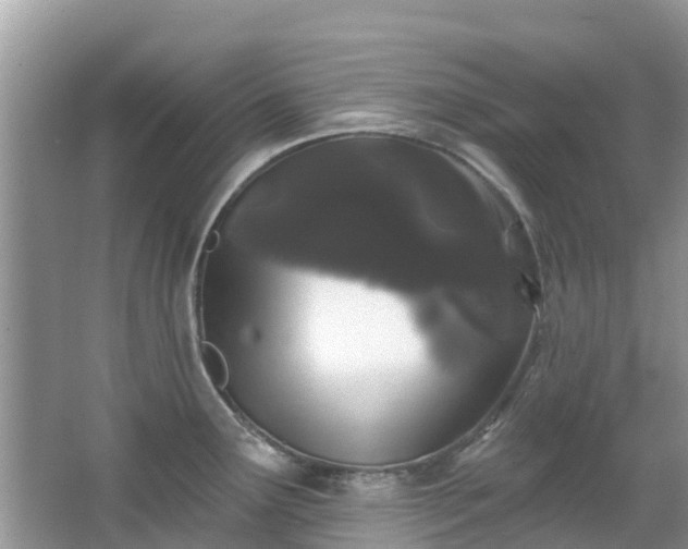 X0000066971291200603311439