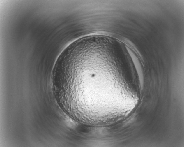 X0000066971292200603311439